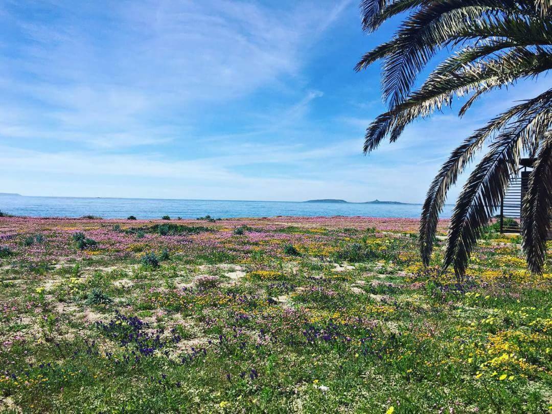 Affittacamere Acquamarina Oristano Exteriör bild